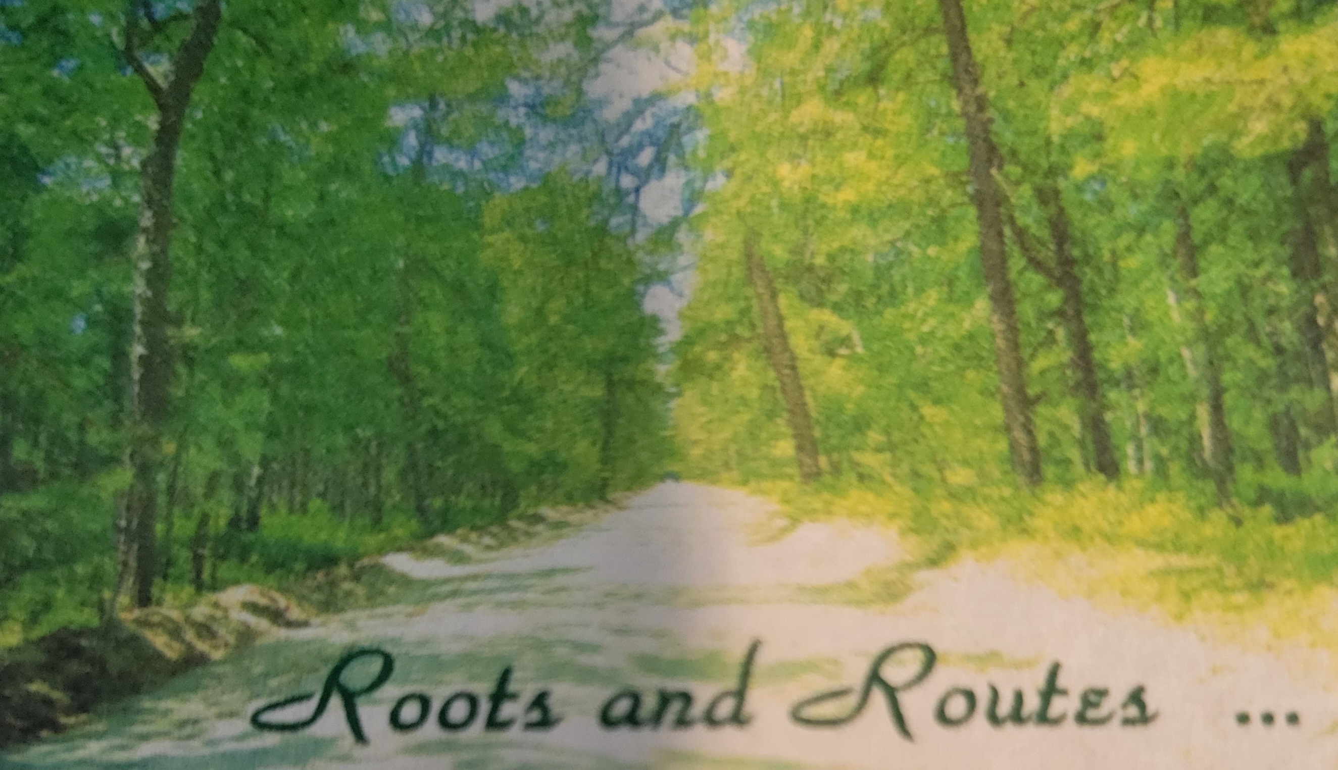 Roots and Routes Logo